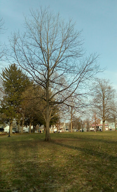Fort Stanwix Park