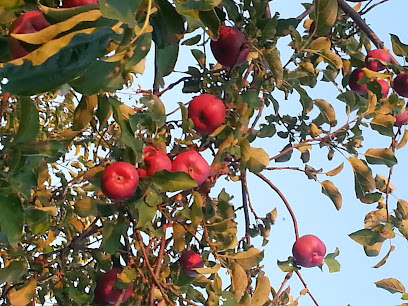 Deer Run Farms Apple Orchard