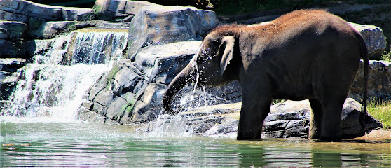 Rosamond Gifford Zoo