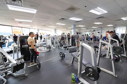 Executive Fitness Gym | Gimnasio | Bench Press | Low Impact Workout