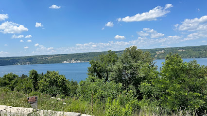 Cayuga Lake