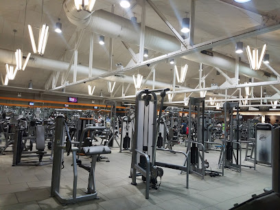 Club Fitness New York