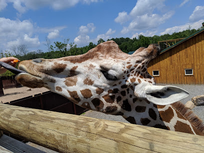 The Wild Animal Park