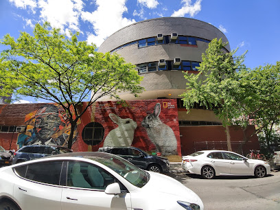 M.S. 131