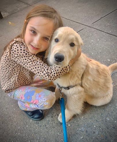 NYC PETCARE