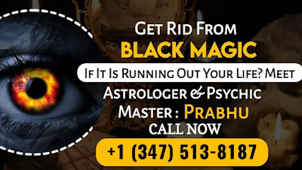 Astrologer Radhasri : Indian Astrologer and Spiritual Healer and Psychic Reader in USA