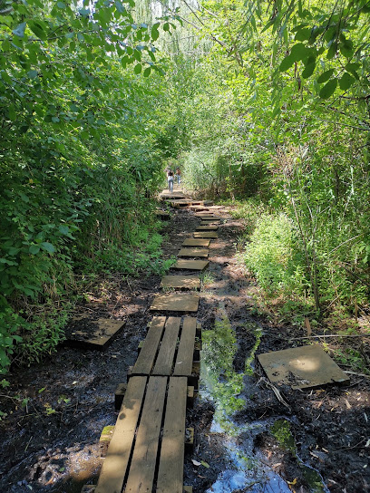 Pat Dolan Trail