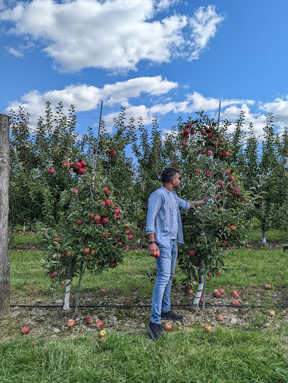 Boehm Farm