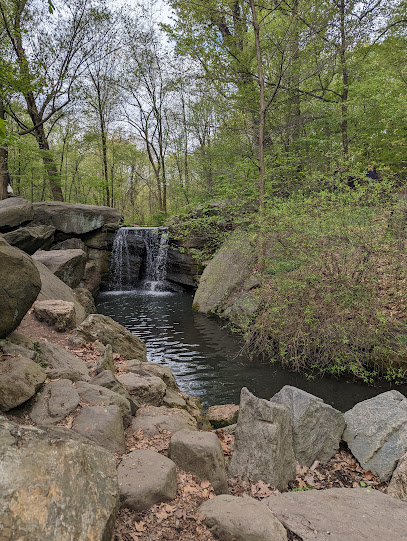 The Ravine
