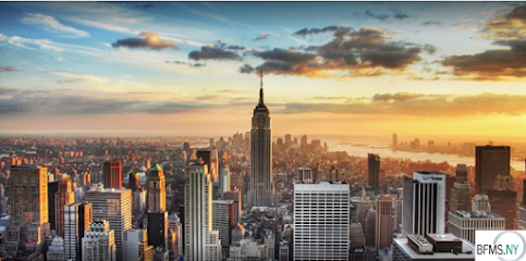 The Business, Finance and Management School of New York