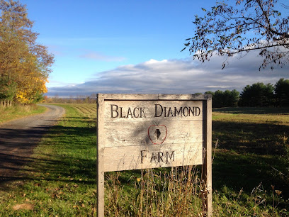 Black Diamond Farm and Cider