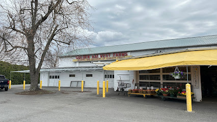 Golden Harvest Farms