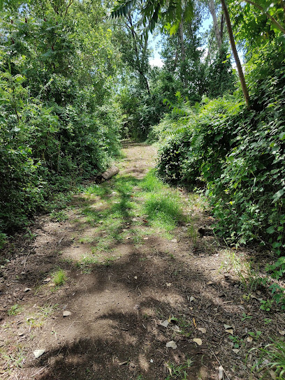 Pat Dolan Trail