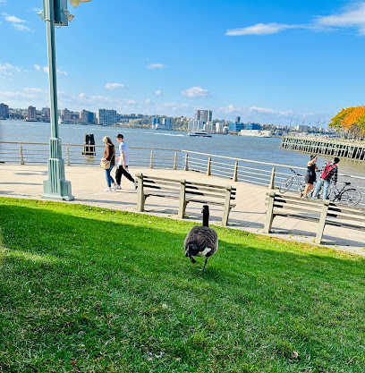Hudson River Park