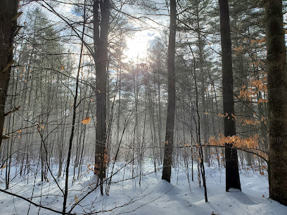 Pitch Pine Bog Conservation Area And Nature Trail