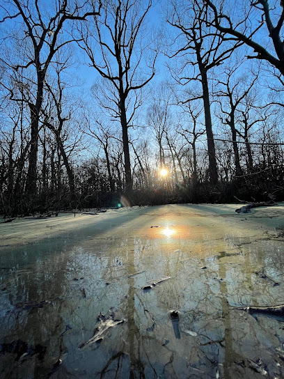 Forest Park Water Hole