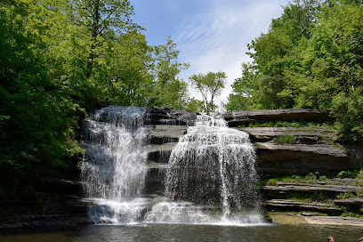 Pixley Falls
