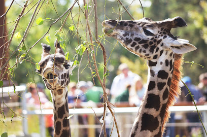 Seneca Park Zoo