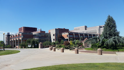Department of Computer Science