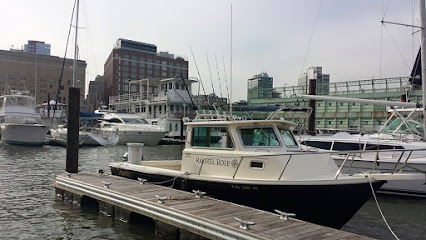 NYC Sportfishing Charters