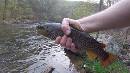Learn To Fly Fish NYC