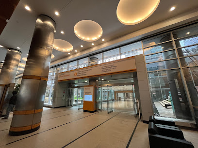 NYU Grossman School of Medicine