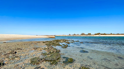 Sammys Beach