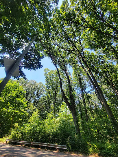 Forest Park Hiking Trails