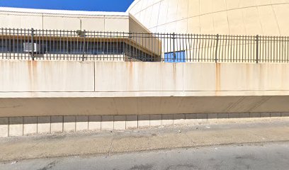 Renaissance High School for Musical Theater and the Arts