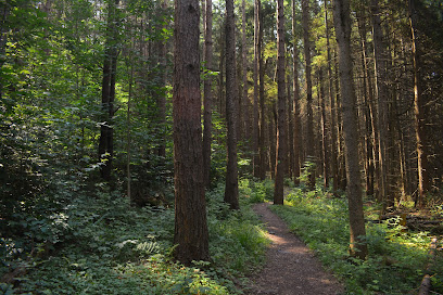Highland Forest County Park