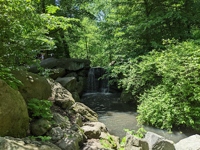 North Woods