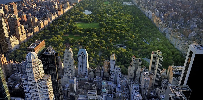 Marc Avram, MD, New York City