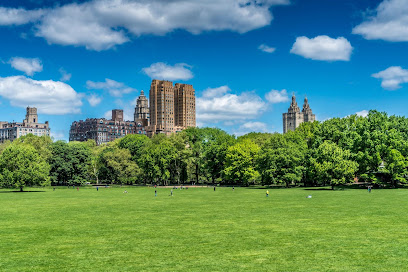 Moadel Eye Specialists of New York