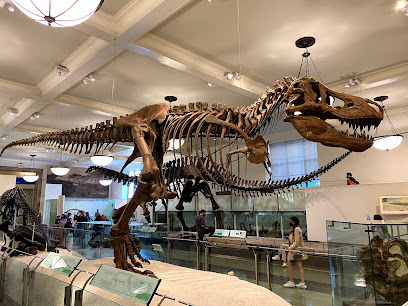 American Museum of Natural History