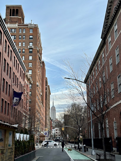 New York University Law School