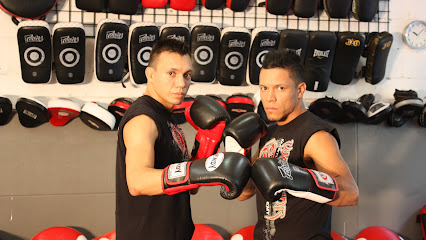 Bwarriormma.com