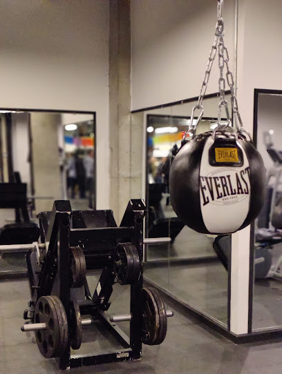 Mendez Boxing Harlem