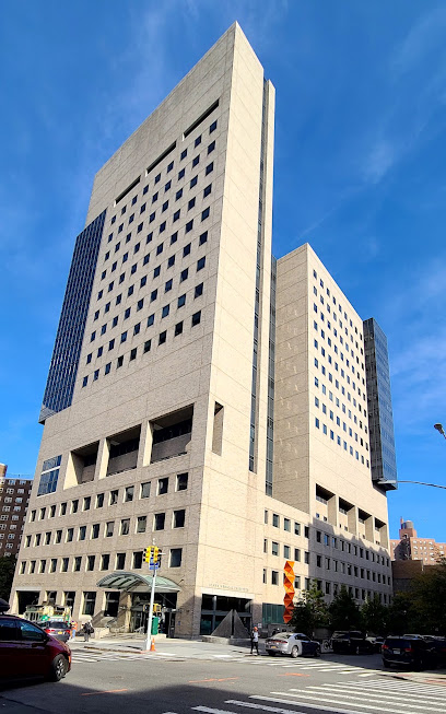 Icahn School of Medicine at Mount Sinai