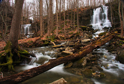 Three Falls Woods