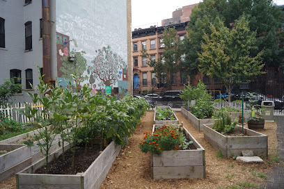 Harlem Grown